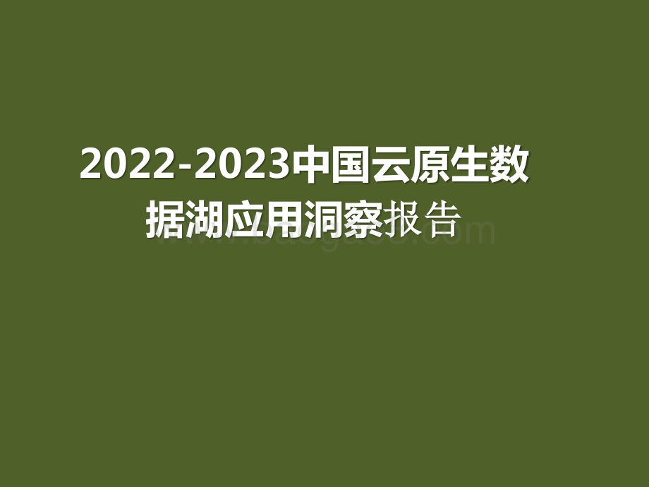 2022-2023中国云原生数据湖应用洞察报告.pptx_第1页