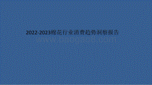 2022-2023棉花行业消费趋势洞察报告.pptx