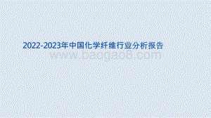 2022-2023年中国化学纤维行业分析报告.pptx
