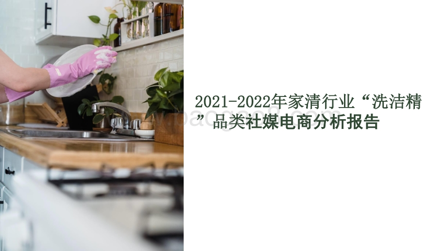 2021-2022年家清行业“洗洁精”品类社媒电商分析报告.pptx_第1页