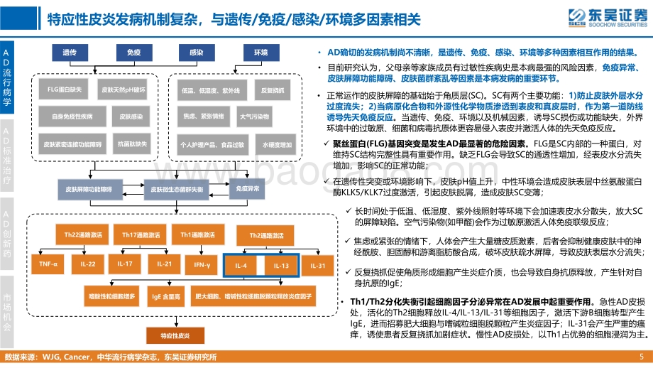 东吴证券-创新药疾病透视系列行业研究第四期_特应性皮炎治疗中创新药的竞争格局分析_34页_2mb.pdf_第5页