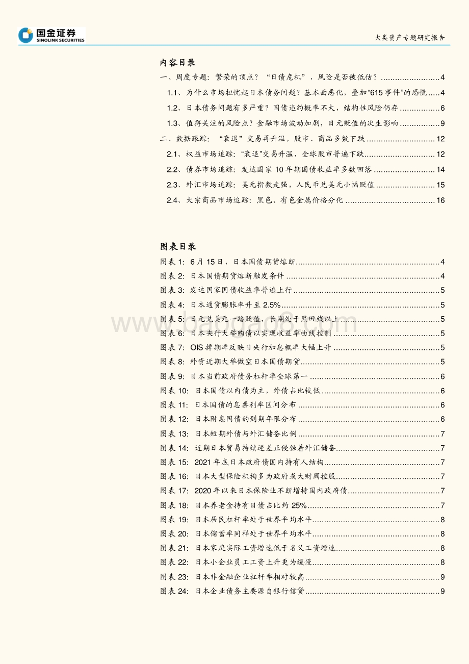 国金证券-海外风险观察系列之一_繁荣的顶点_日债危机_风险是否被低估__19页_2mb.pdf_第2页