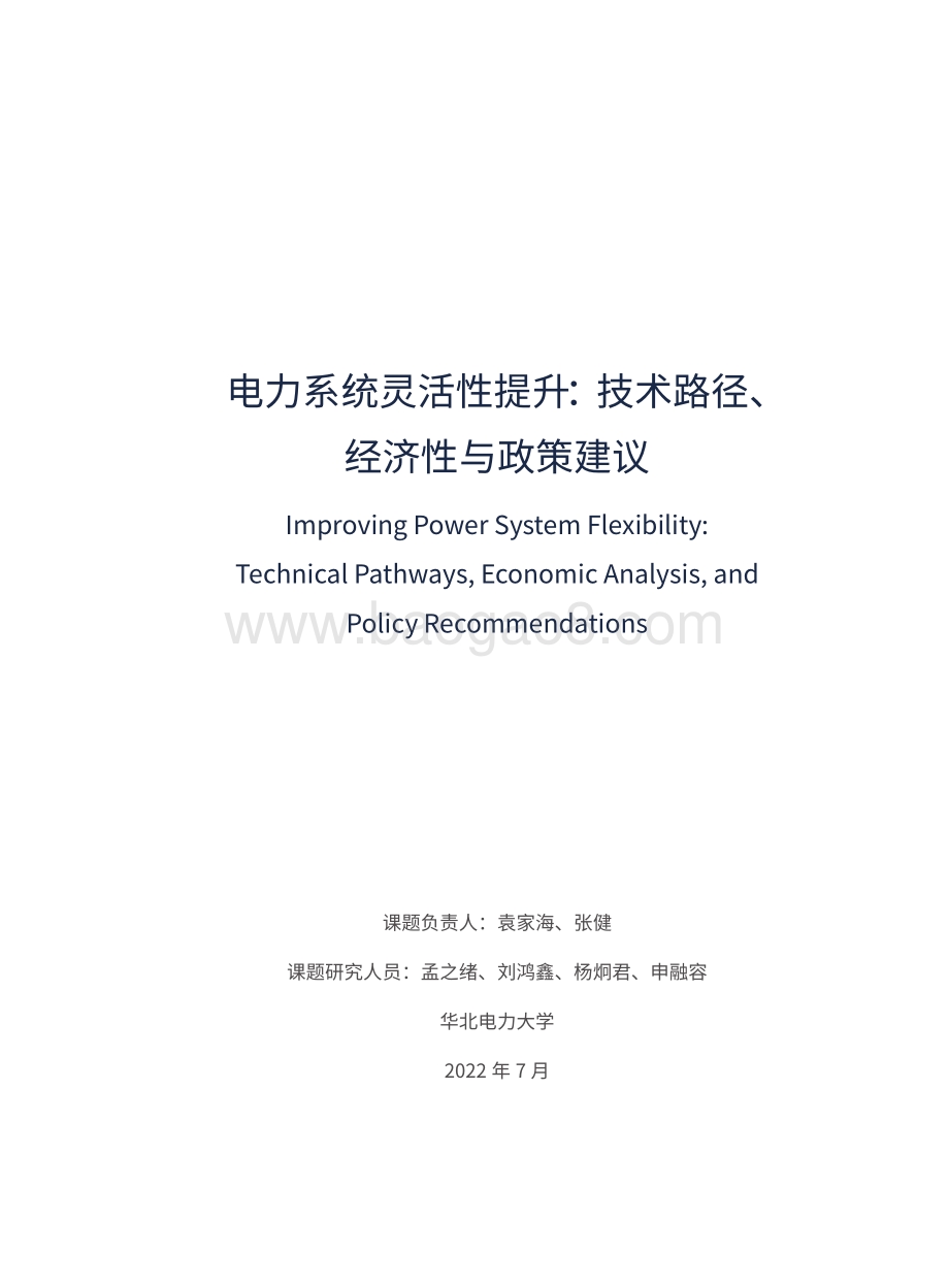 电力系统灵活性提升：技术路径、经济性与政策建议_112页_5mb.pdf_第3页