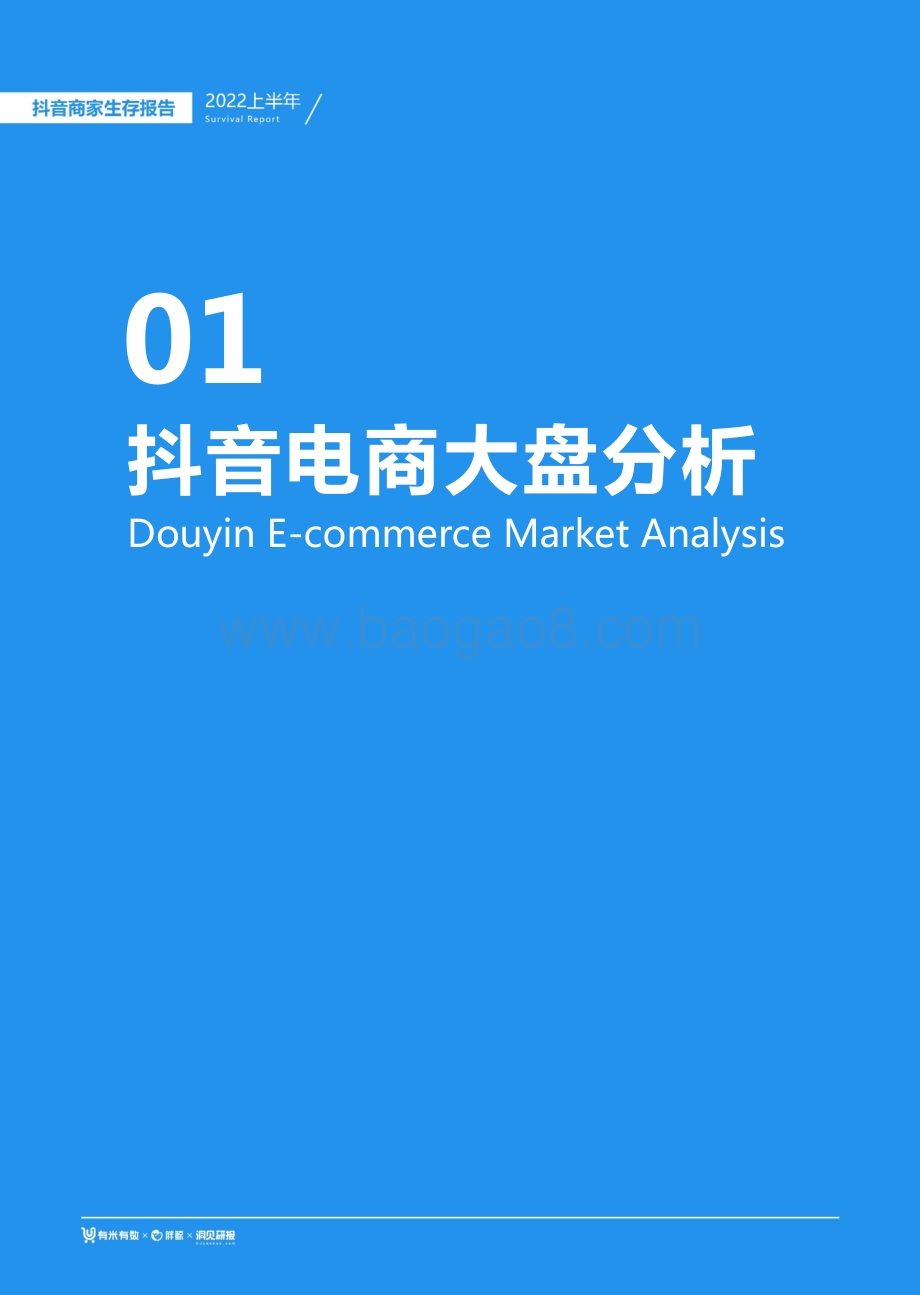 有米有数出品2022上半年抖音商家生存报告_94页_10mb.pdf_第4页