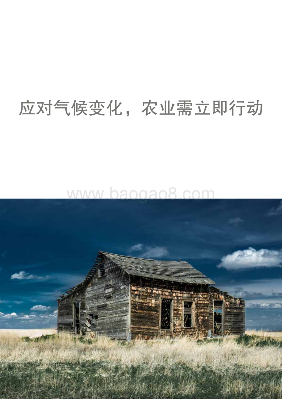 通往农业碳中和之路_40页_2mb.pdf_第4页