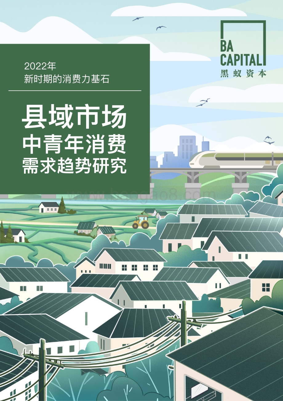 县域市场中青年消费需求趋势研究-黑蚁资本_50页_12mb.pdf_第1页