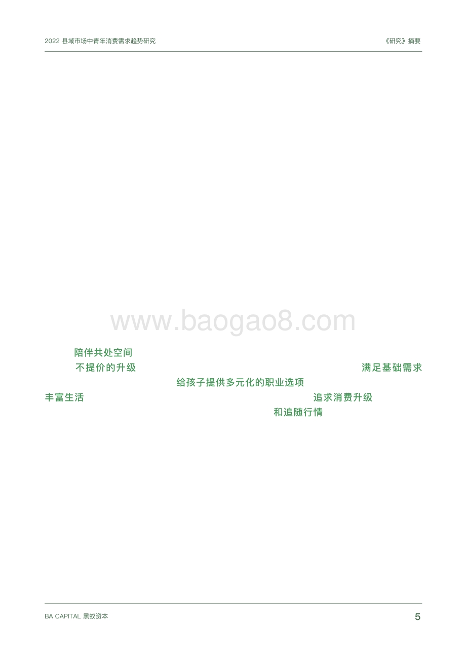 县域市场中青年消费需求趋势研究-黑蚁资本_50页_12mb.pdf_第5页