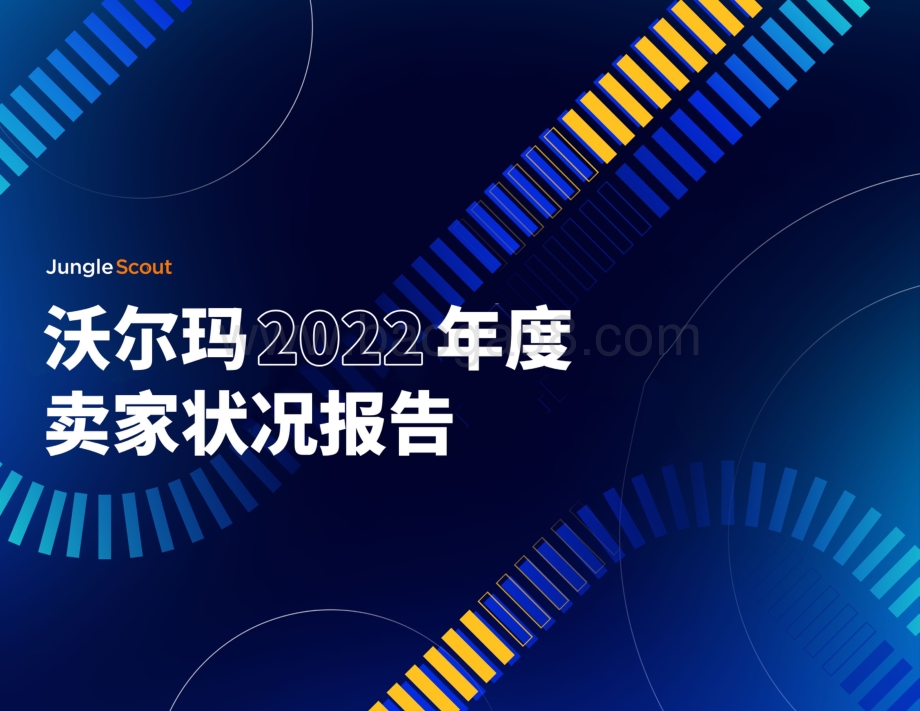 2022年沃尔玛卖家状况报告_30页_10mb.pdf_第1页