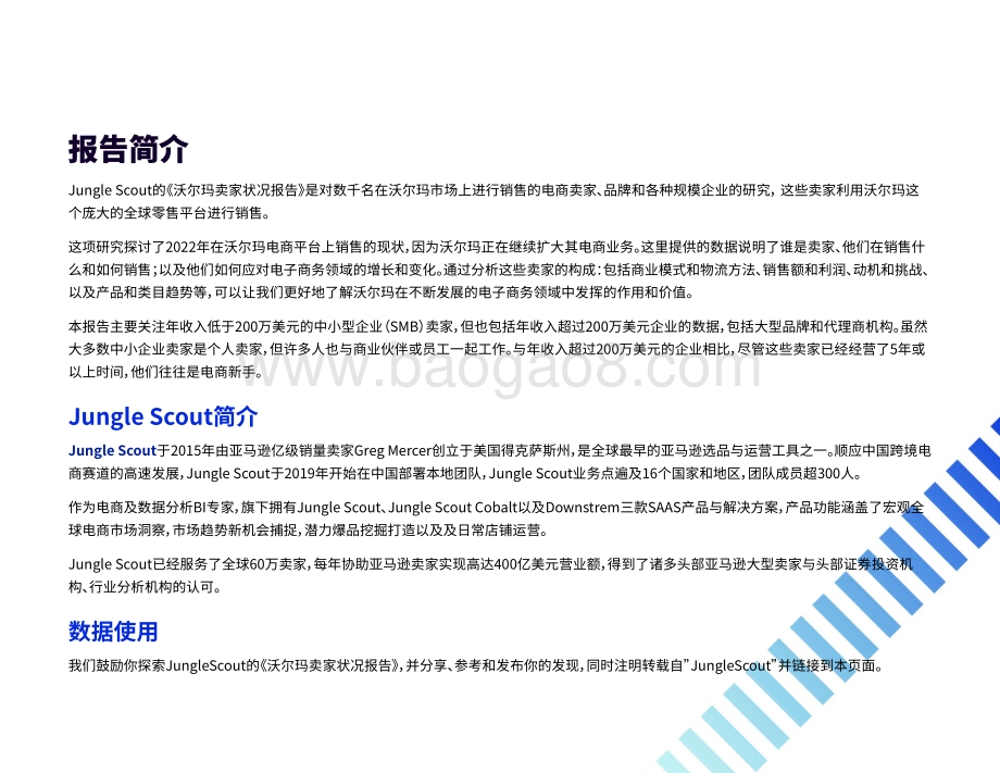 2022年沃尔玛卖家状况报告_30页_10mb.pdf_第2页