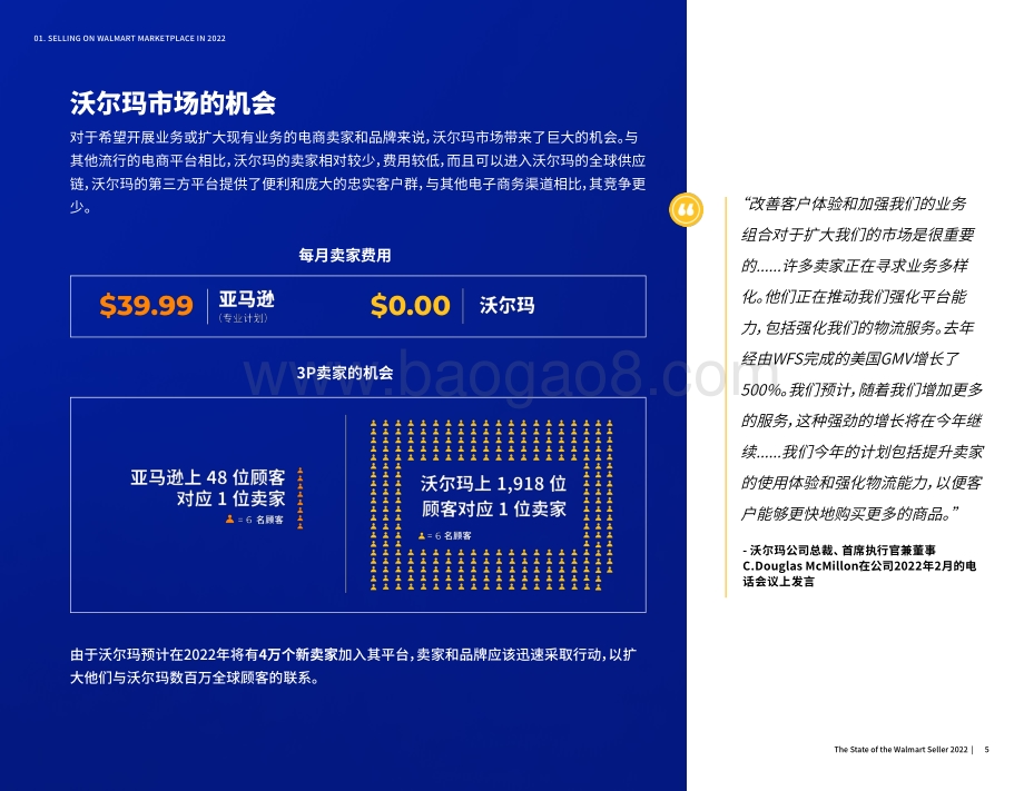 2022年沃尔玛卖家状况报告_30页_10mb.pdf_第5页