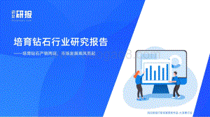 洞见研报：培育钻石行业研究报告_34页_4mb.pdf