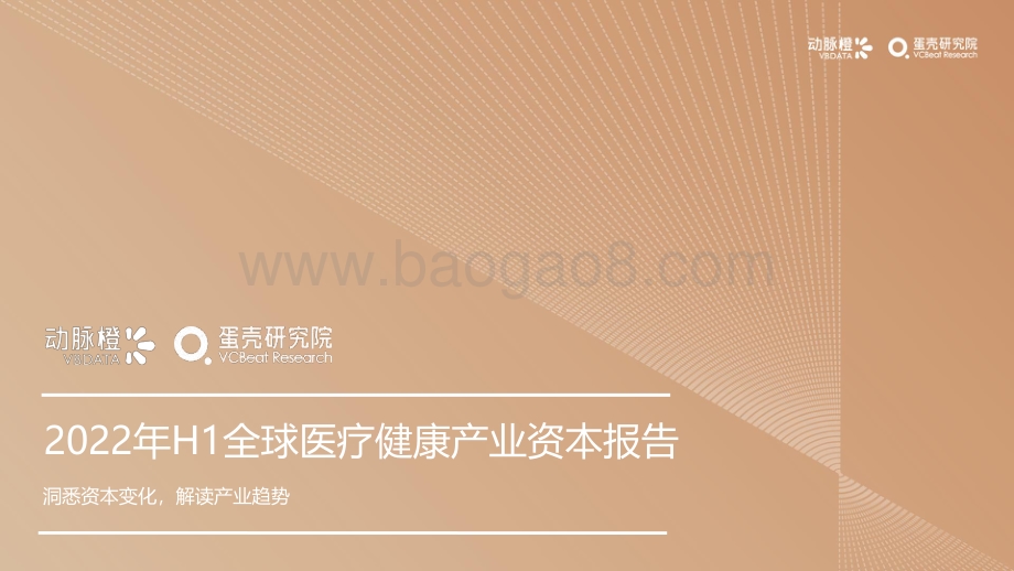 2022年H1全球医疗健康产业资本报告_30页_2mb.pdf_第1页