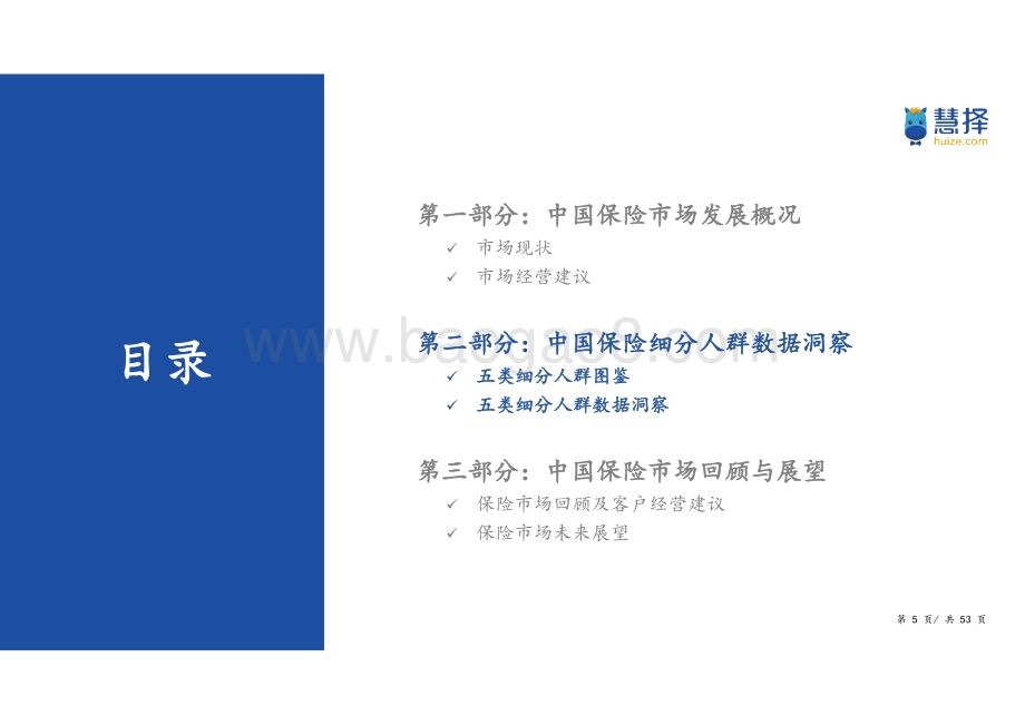 慧择：中国保险细分消费人群洞察白皮书_53页_1mb.pdf_第5页
