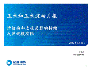 20220728-宏源期货-玉米和玉米淀粉月报_情绪面和宏观面影响持续_反弹规模有限_23页_1mb.pdf