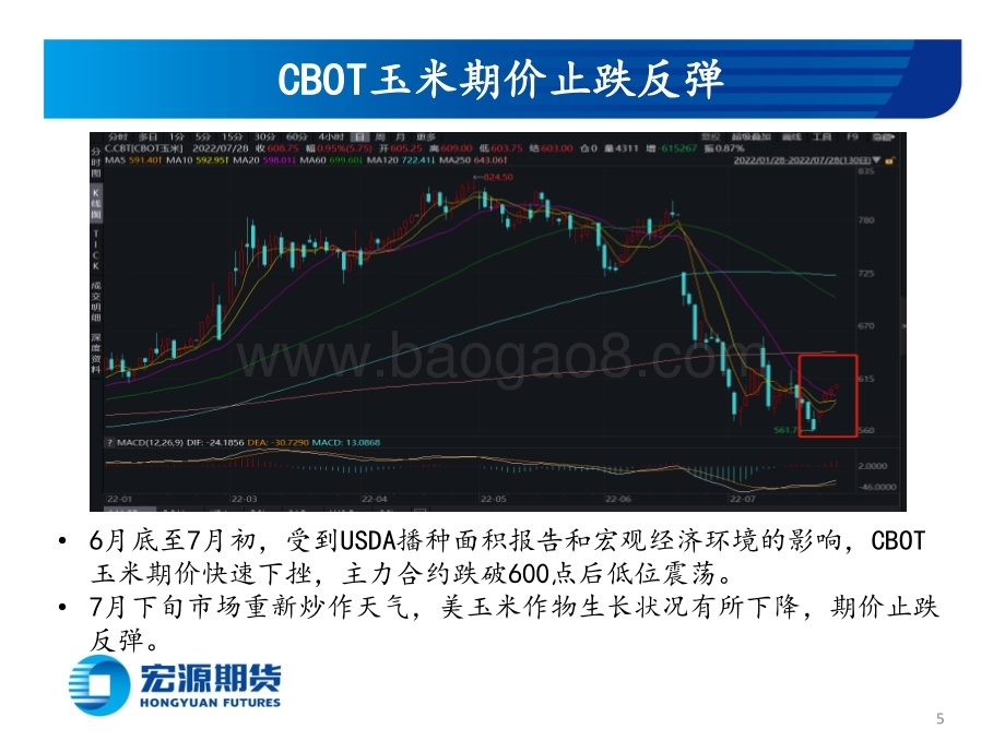 20220728-宏源期货-玉米和玉米淀粉月报_情绪面和宏观面影响持续_反弹规模有限_23页_1mb.pdf_第5页