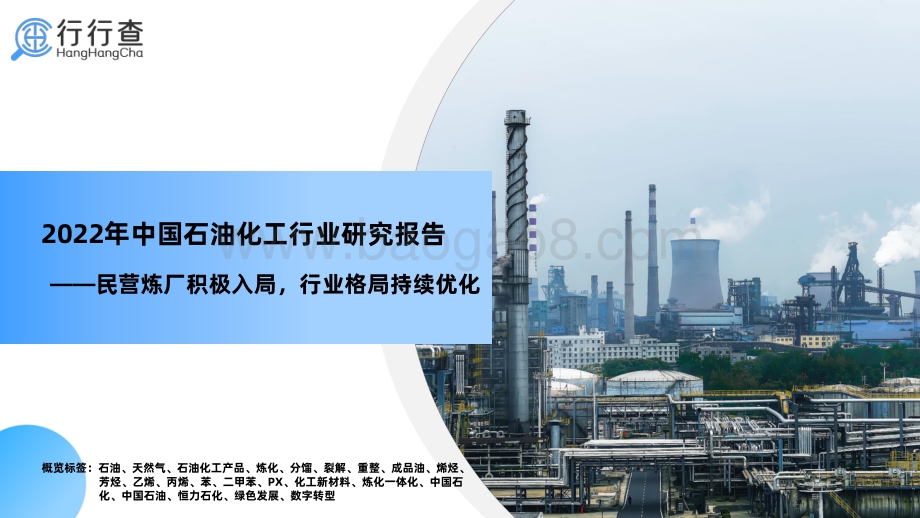 2022年中国石油化工行业研究报告_45页_6mb.pdf_第1页