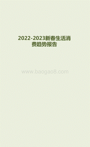 2022-2023新春生活消费趋势研究报告.pptx