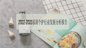 2022-2023家清个护行业发展分析报告.pdf