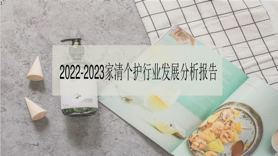 2022-2023家清个护行业发展分析报告.pdf_第1页
