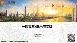 20220821-广州期货-一周集萃-玉米与淀粉_34页_2mb.pdf