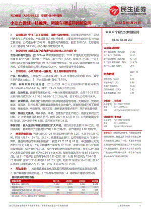 深度报告-20220805-民生证券-天力锂能-301152.SZ-投资价值分析报告_小动力领域一枝独秀_新能车领域开辟新空间_53页_4mb.pdf