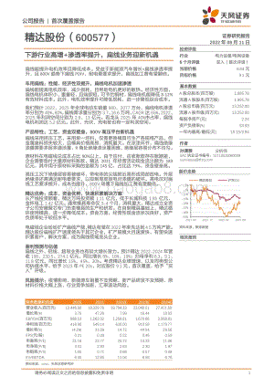 深度报告-20220811-天风证券-精达股份-600577.SH-下游行业高增+渗透率提升_扁线业务迎新机遇_22页_2mb.pdf