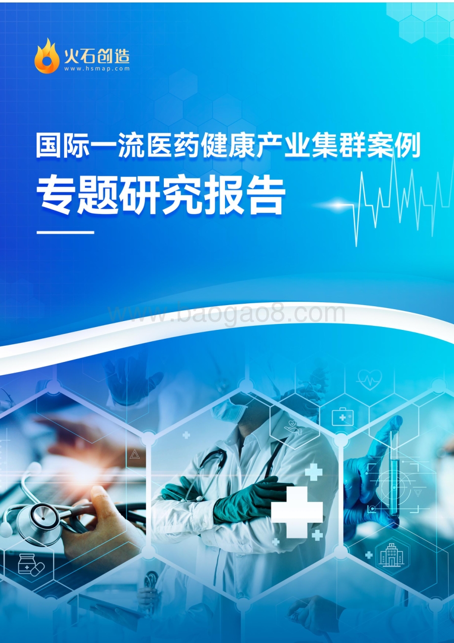 国际一流医药健康产业集群专题研究报告_21页_2mb.pdf_第1页