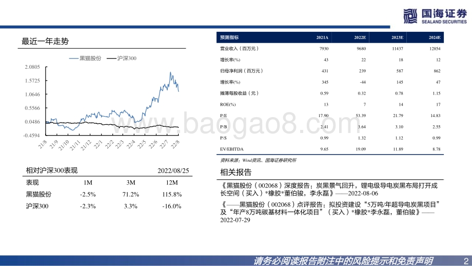 20220825-国海证券-黑猫股份-002068.SZ-2022年中报点评_二季度盈利环比回升_新材料领域加速布局_17页_834kb.pdf_第2页