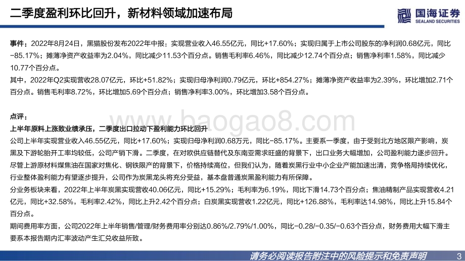 20220825-国海证券-黑猫股份-002068.SZ-2022年中报点评_二季度盈利环比回升_新材料领域加速布局_17页_834kb.pdf_第3页