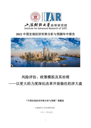 上海财经大学：2022中国宏观经济形势分析与预测年中报告_172页_2mb.pdf