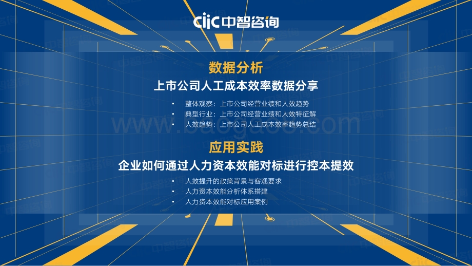 中智咨询2022年企业人效管理提升指南数据分析应用实践_81页_6mb.pdf_第2页