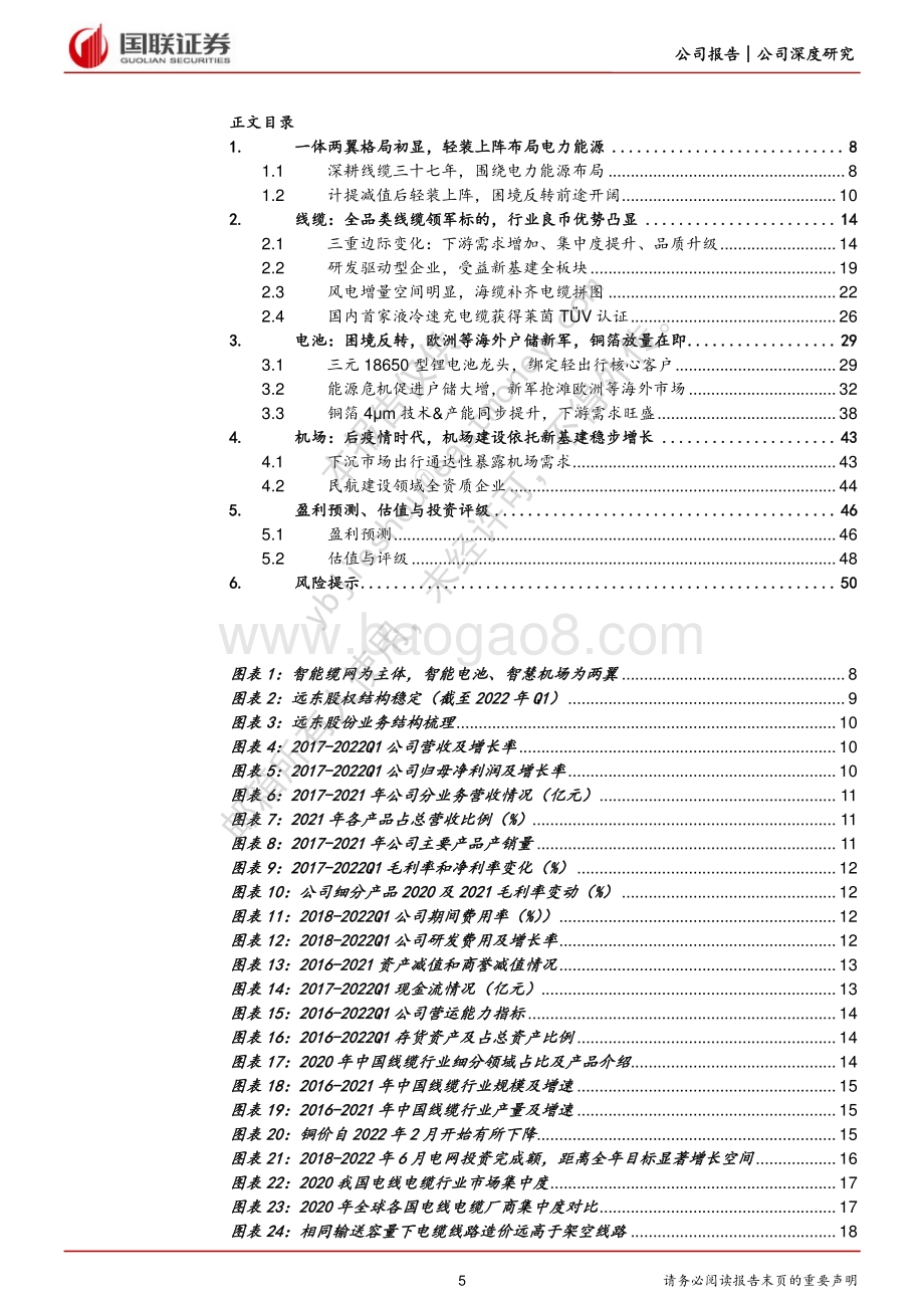 深度报告-20220812-国联证券-远东股份-600869.SH-海缆补齐电缆产业拼图_电池和机场建设业务贡献业绩增量_52页_4mb.pdf_第5页