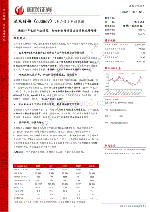 深度报告-20220812-国联证券-远东股份-600869.SH-海缆补齐电缆产业拼图_电池和机场建设业务贡献业绩增量_52页_4mb.pdf