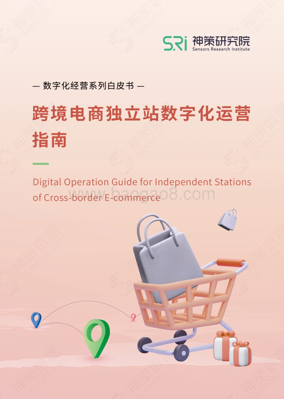 跨境电商独立站数字化运营指南_24页_12mb.pdf_第1页