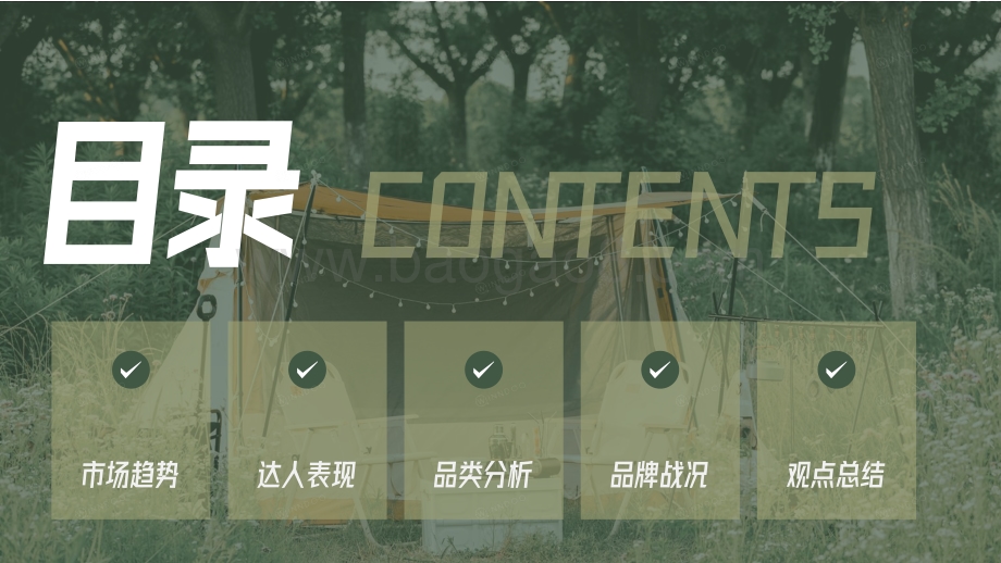 闻道网络：2022精致露营市场洞察_38页_11mb.pdf_第3页