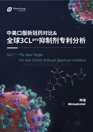 中美口服新冠药对比_全球3CL抑制剂专利分析_69页_4mb.pdf