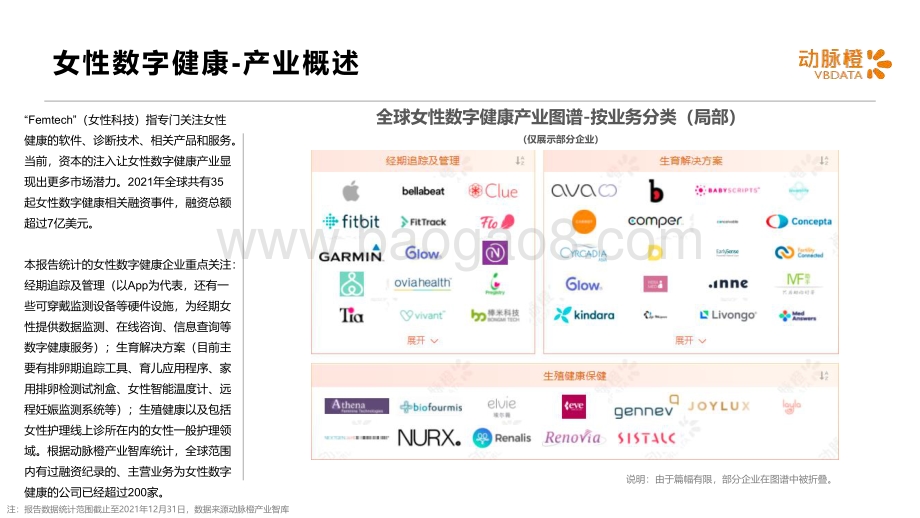 动脉橙：2021年全球女性数字健康价值趋势报告_14页_1mb.pdf_第4页