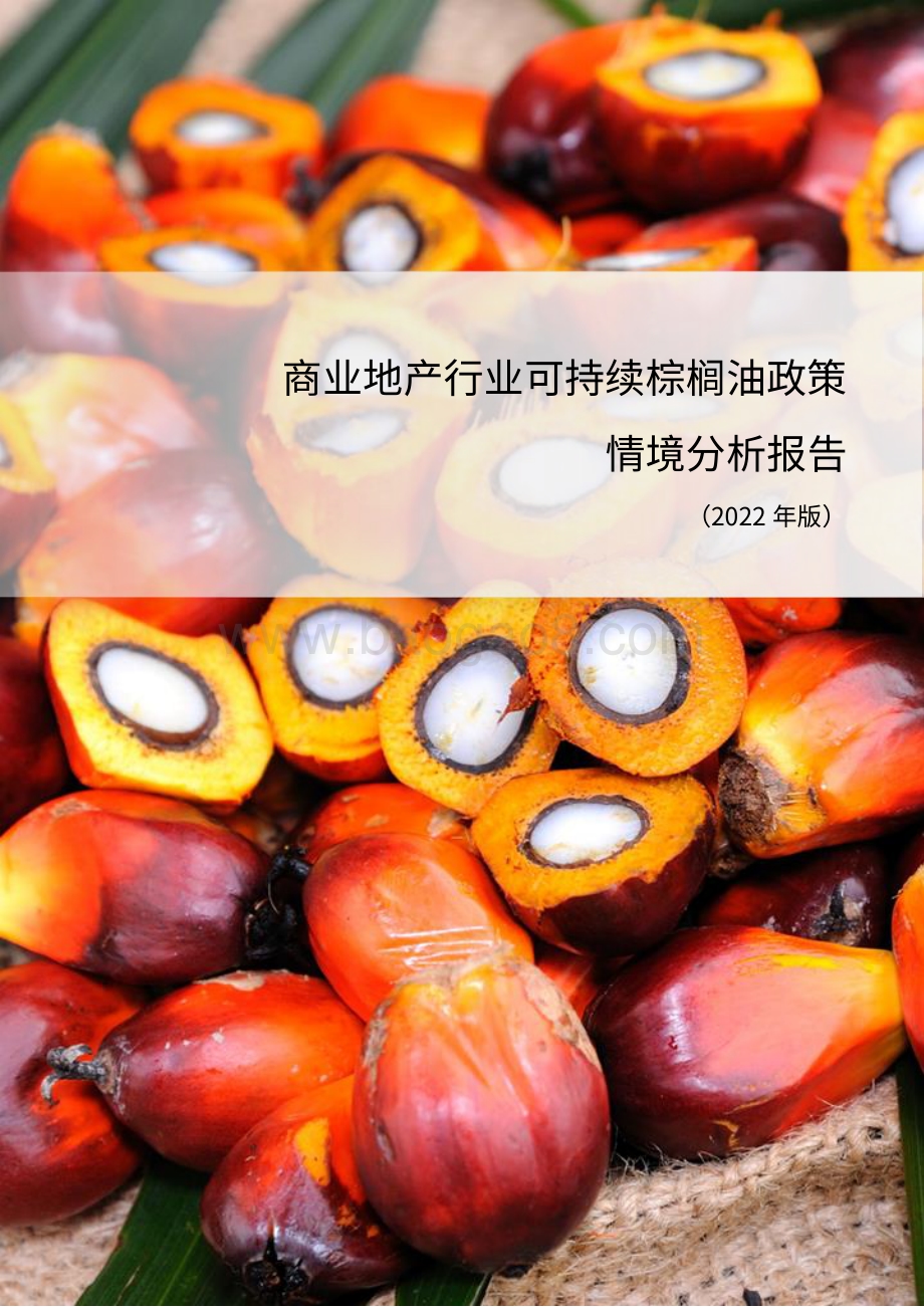 商业地产行业可持续棕榈油政策情境分析报告（2022）_28页_768kb.pdf_第1页