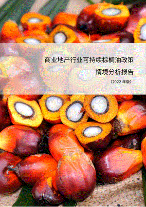 商业地产行业可持续棕榈油政策情境分析报告（2022）_28页_768kb.pdf