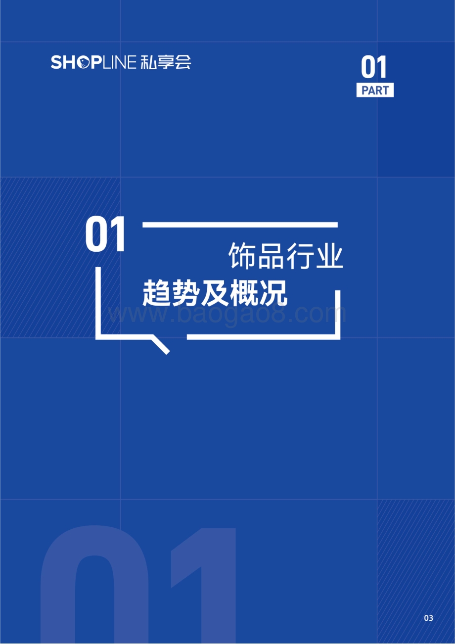 SHOPLINE：饰品行业出海营销攻略_22页_12mb.pdf_第4页