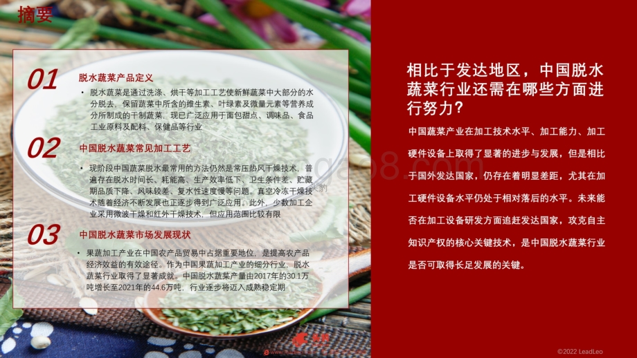 2022年中国脱水蔬菜行业：疫情带来了行业曙光脱水蔬菜能一火到底吗？_30页_22mb.pdf_第2页