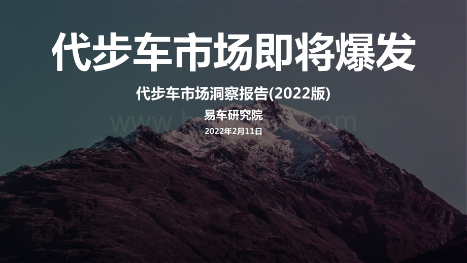 代步车市洞察报告_2022版__20页_3mb.pdf_第1页