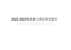 2022-2023粤港澳大湾区研究报告.pdf