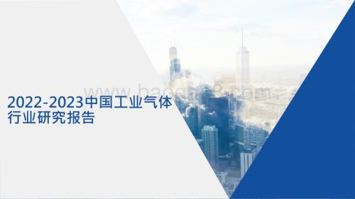 2022-2023中国工业气体行业研究报告.pptx