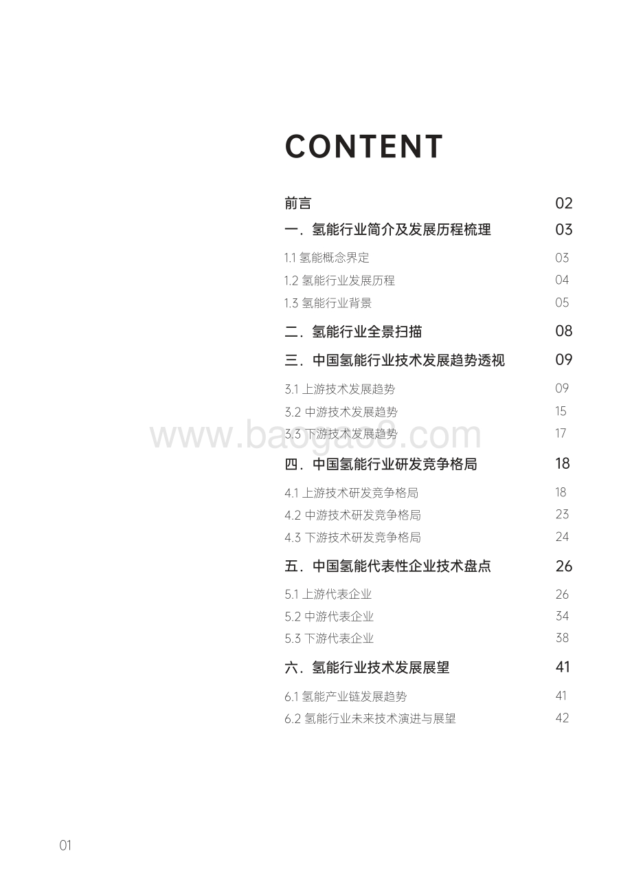 2022-2023年中国氢能行业技术发展洞察报告.pdf_第2页