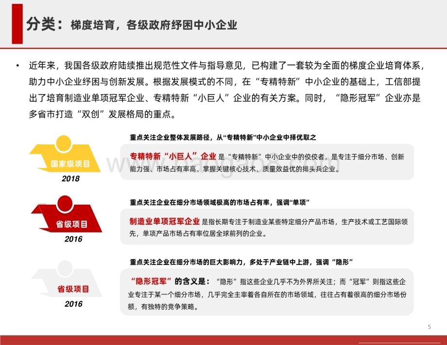 2022-2023“专精特新”政策研究报告.pdf_第5页