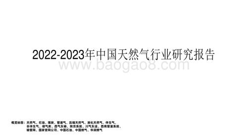 2022-2023年中国天然气行业研究报告.pdf