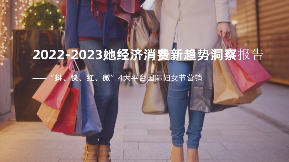 2022-2023她经济消费新趋势洞察报告.pdf_第1页