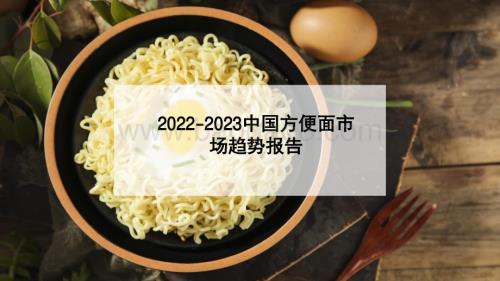 2022-2023中国方便面市场趋势报告.pdf