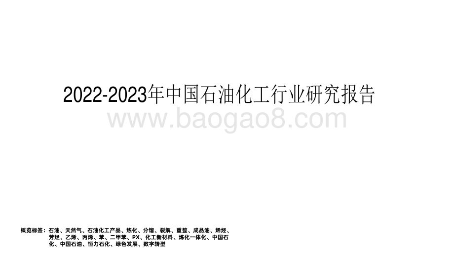 2022-2023年中国石油化工行业研究报告.pdf_第1页